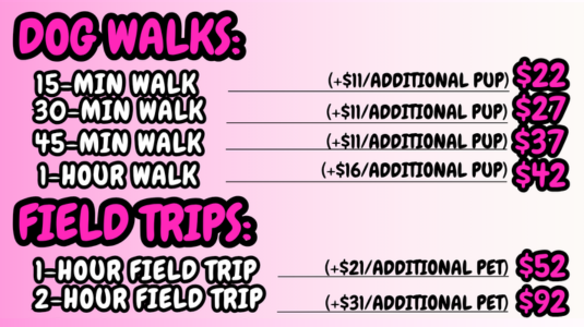 dog walker pet sitter dog walking pet sitting